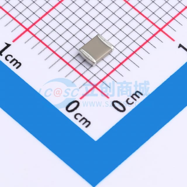 100pF ±5% 2kV实物图