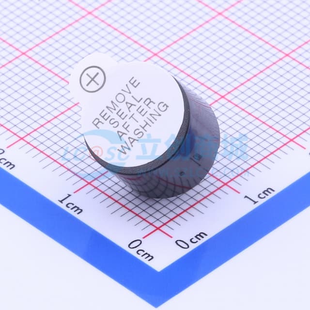 GMD12095YB-24V2400 【蜂鸣】实物图