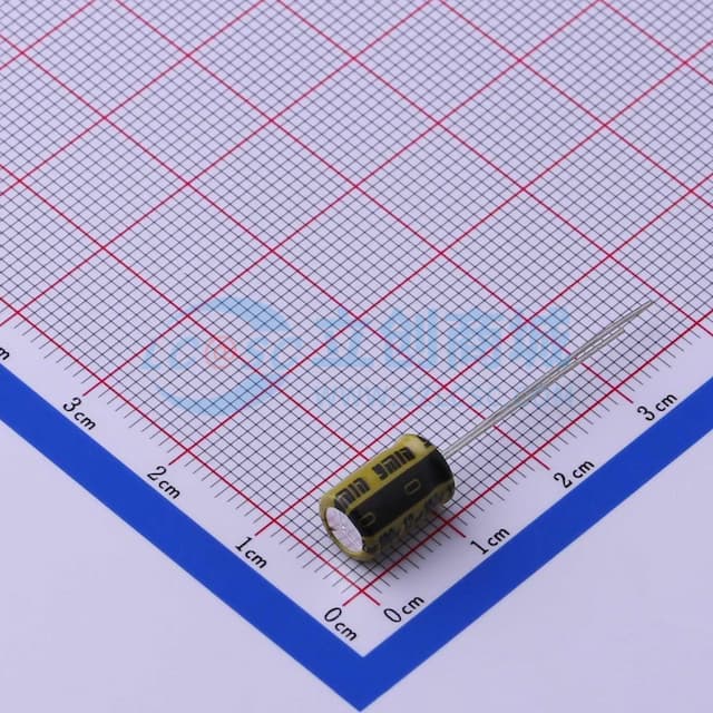12uF ±20% 100V 【引线】实物图