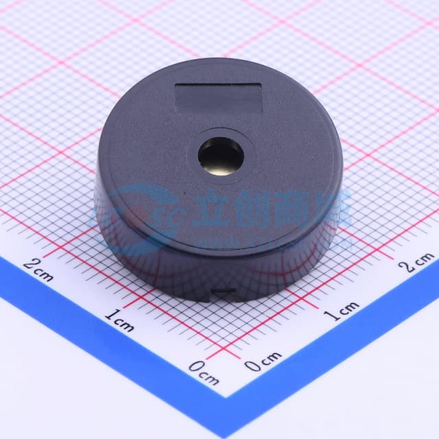 GPC2208AT-5V4000 【蜂鸣】实物图