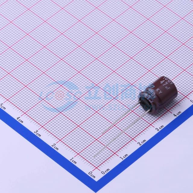 47uF ±20% 100V 【引线】实物图