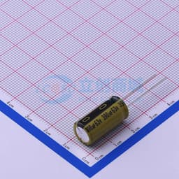390uF ±20% 63V 【引线】缩略图