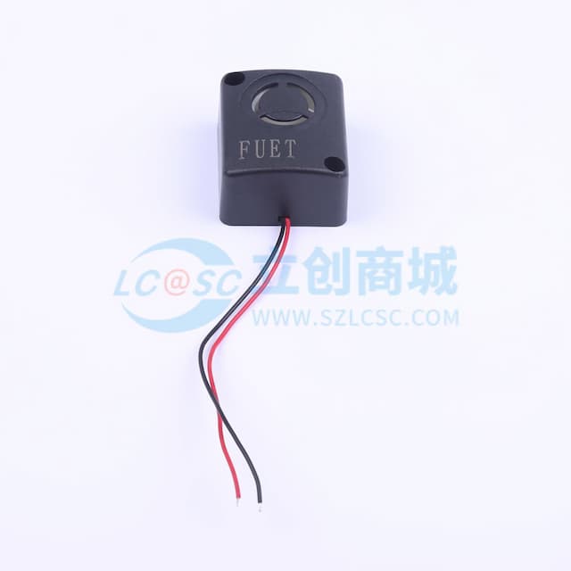 压电式24V 2900HZ实物图