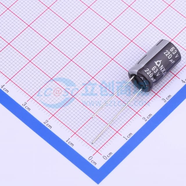 220uF ±20% 63V 【引线】实物图