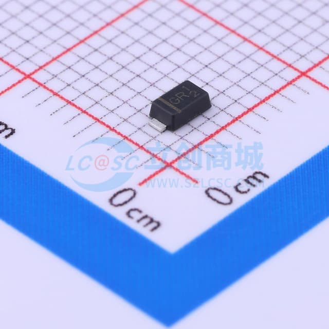 SS20100FL_R1_00001实物图