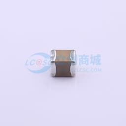 100uF ±20% 6.3V缩略图