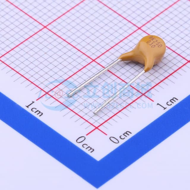 250V 30mA 插件自恢复 【PT】实物图