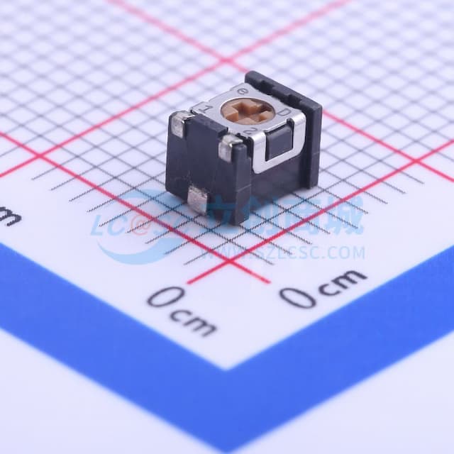 100Ω ±20%实物图