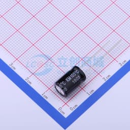 100uF ±20% 63V 【插件】缩略图