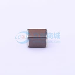 100uF ±20% 6.3V缩略图