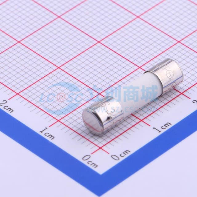 陶瓷管保险丝实物图