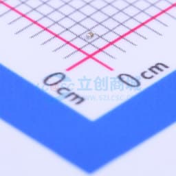 10nF ±10% 6.3V缩略图