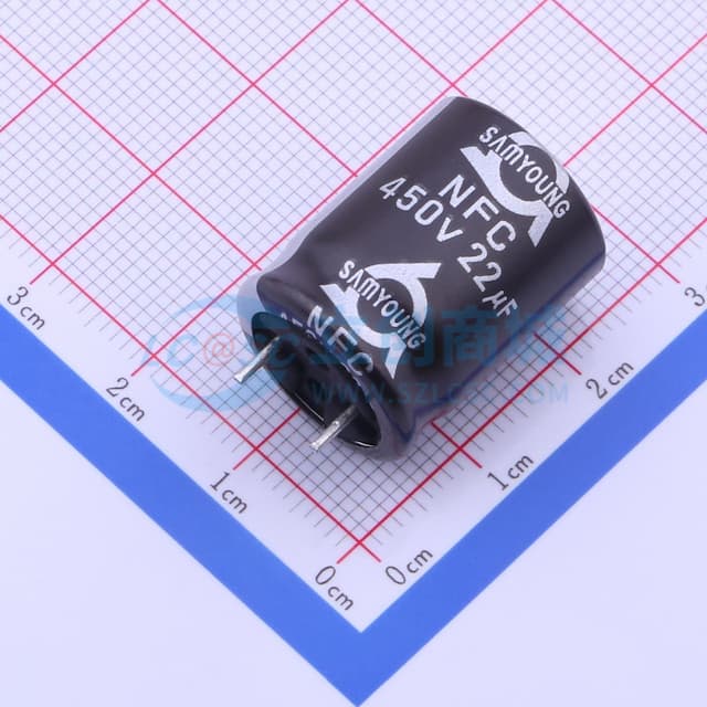 22uF ±20% 450V 【插件】实物图