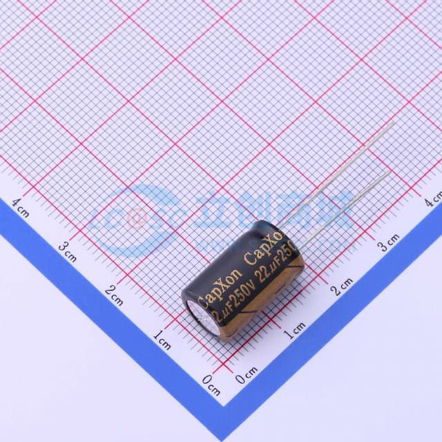 22uF ±20% 250V 【引线】实物图