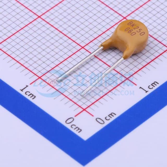 250V 60mA 插件自恢复 【PT】实物图