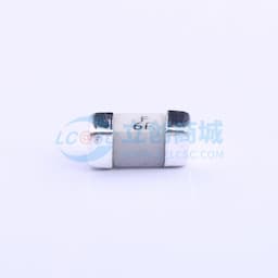 250V贴片式保险丝缩略图