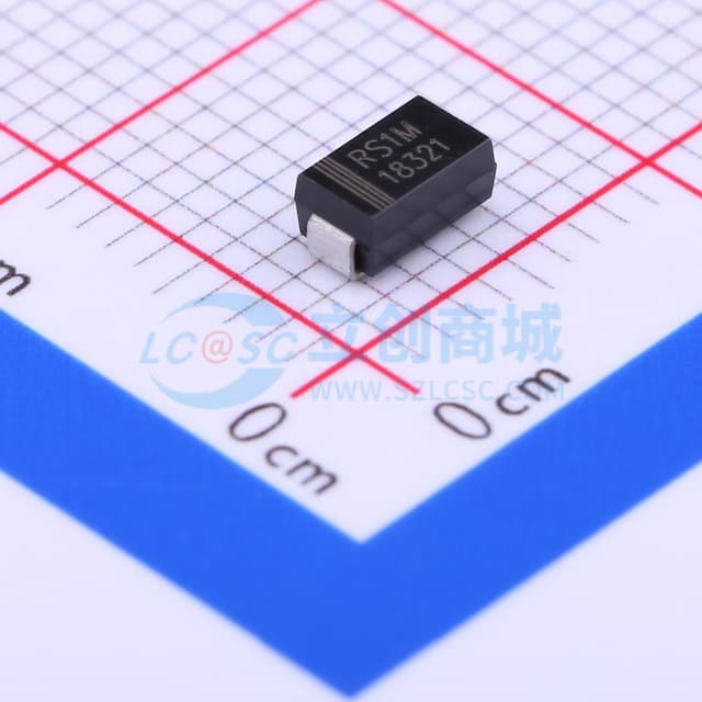 RS1M实物图