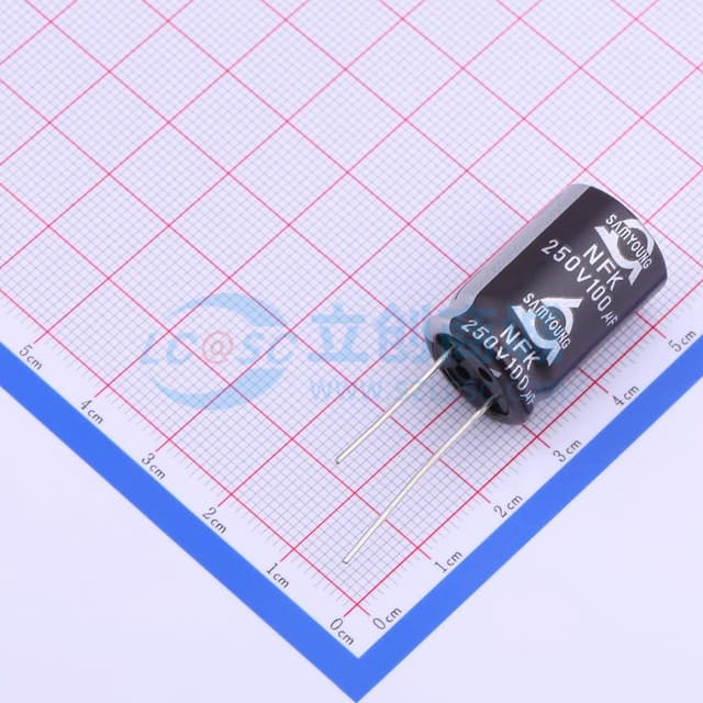 100uF ±20% 250V 【插件】实物图
