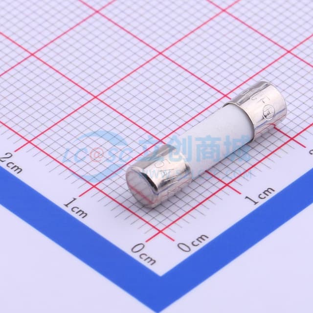 陶瓷管保险丝实物图
