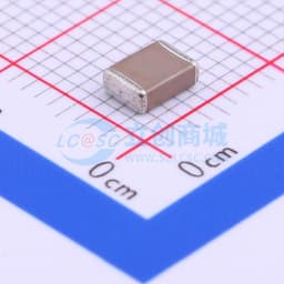 10nF ±10% 1kV缩略图