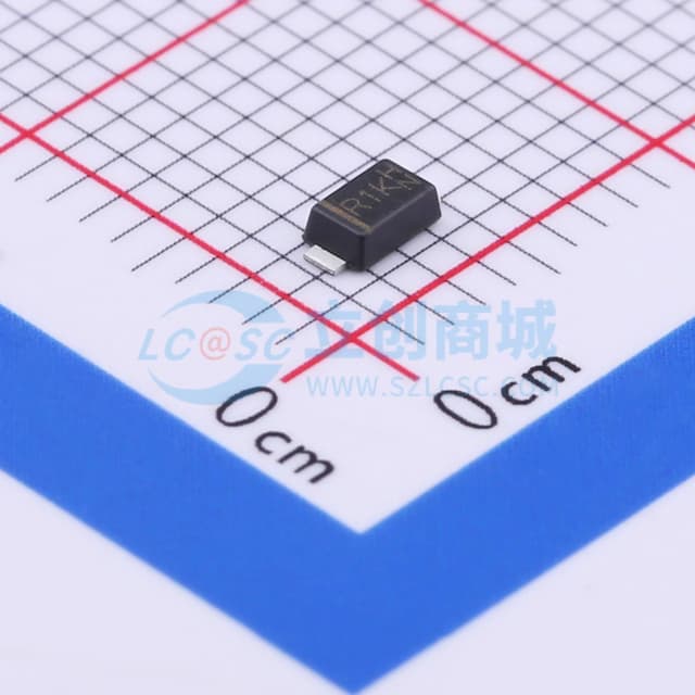 RS1008FL_R1_00001实物图