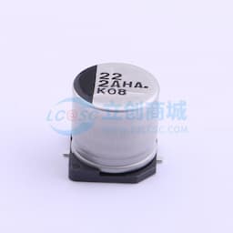 22uF ±20% 100V缩略图