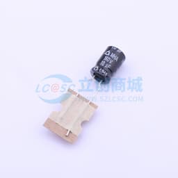 10uF ±20% 160V 【插件】缩略图