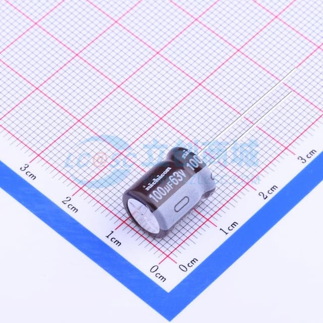100uF ±20% 63V 【引线】实物图