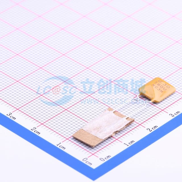 30V 1.6A 插件自恢复 【PT】实物图
