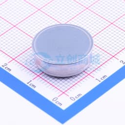 iButton温度记录器，带有8KB数据记录存储器缩略图