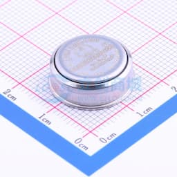 iButton温度记录器，带有8KB数据记录存储器缩略图