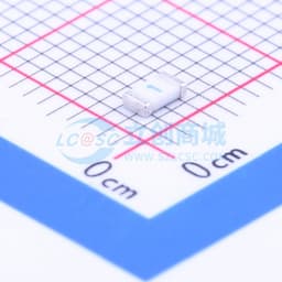 125V贴片式保险丝缩略图