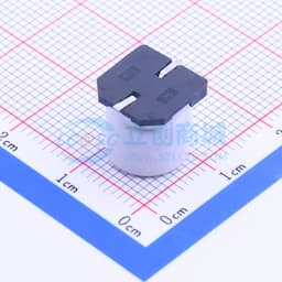 10uF ±20% 80V缩略图