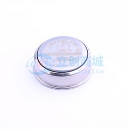 iButton温度记录器，带有8KB数据记录存储器缩略图