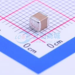 2.2uF ±10% 100V缩略图
