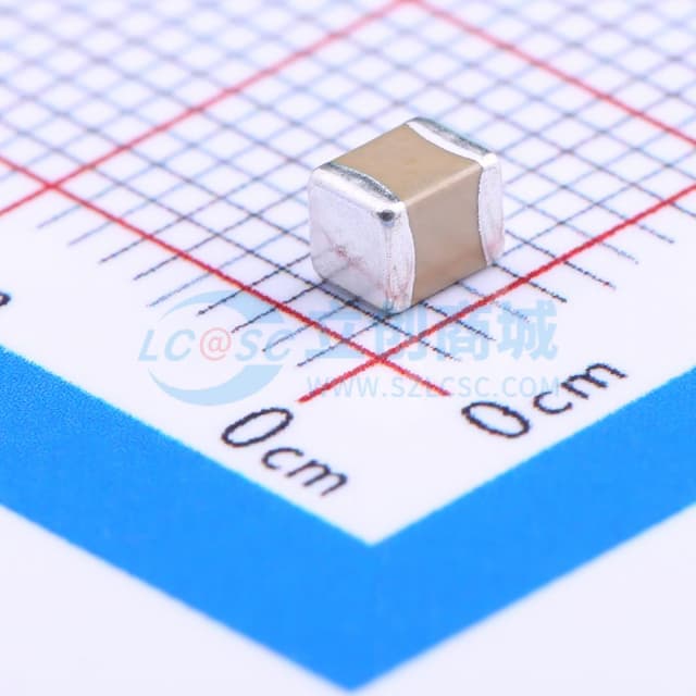 100uF ±20% 10V实物图