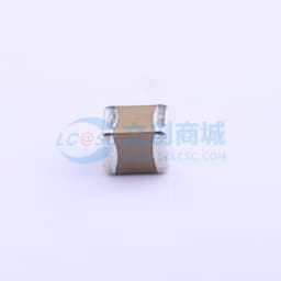 100uF ±20% 10V缩略图