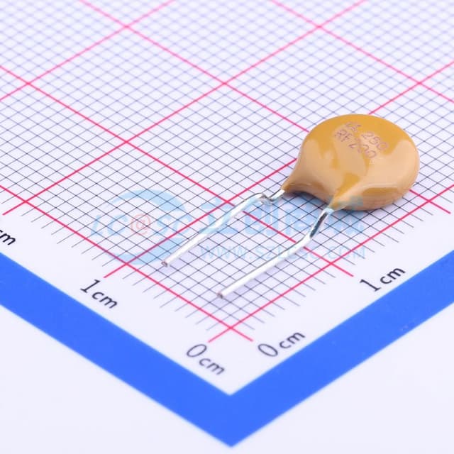 250V 200mA 插件自恢复 【PT】实物图