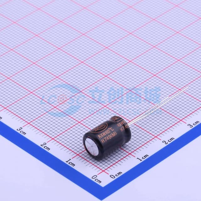 22uF ±20% 100V 【插件】实物图