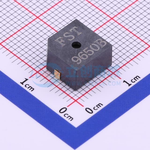 电压 12V 频率 3KHZ实物图