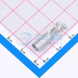 42531-2缩略图
