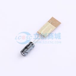 10uF ±20% 100V缩略图