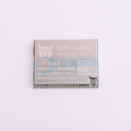 提供 LCC/LGA 混合连接方式模块缩略图