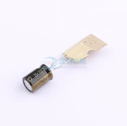 220uF 25V缩略图