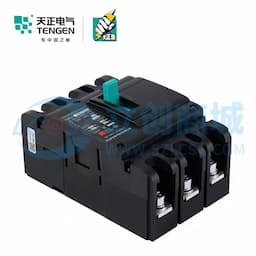 TENGEN(天正电气）TGM1N(祥云3.0)系列塑壳断路器 TGM1N-250L/3300 225A缩略图