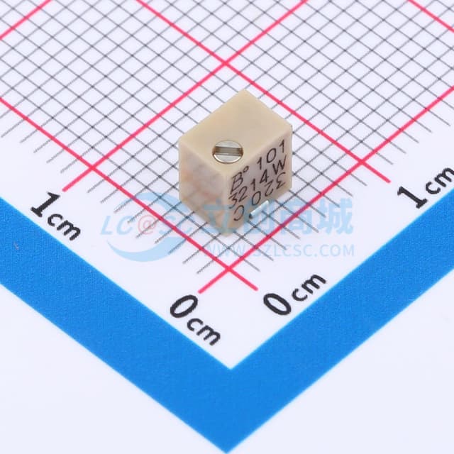 100Ω ±10%实物图