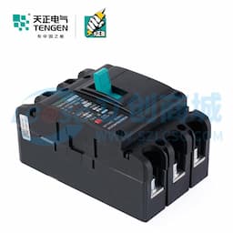 TENGEN(天正电气）TGM1N(祥云3.0)系列塑壳断路器 TGM1N-160L/3300 100A缩略图