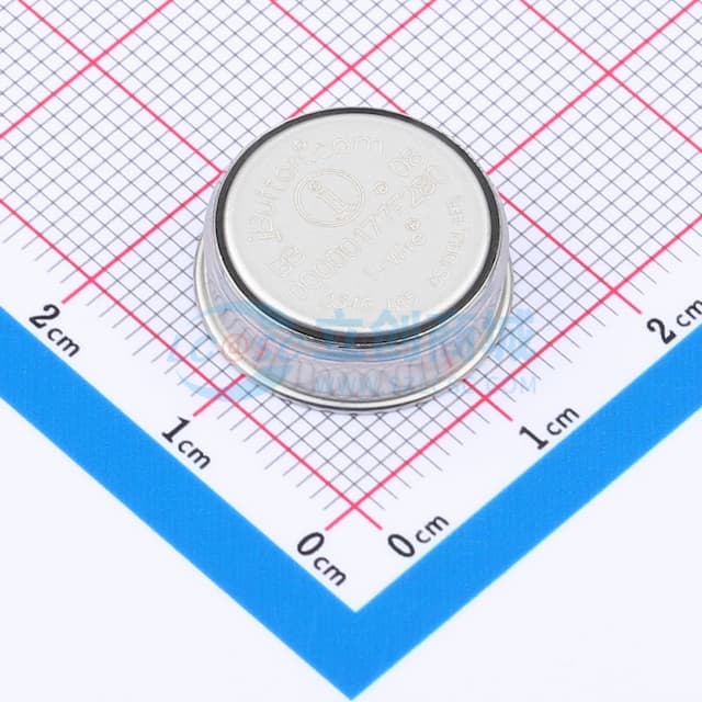 1Kb/4Kb 内存 iButton实物图