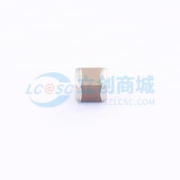 100uF ±20% 6.3V缩略图