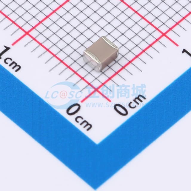 100pF ±5% 2kV实物图